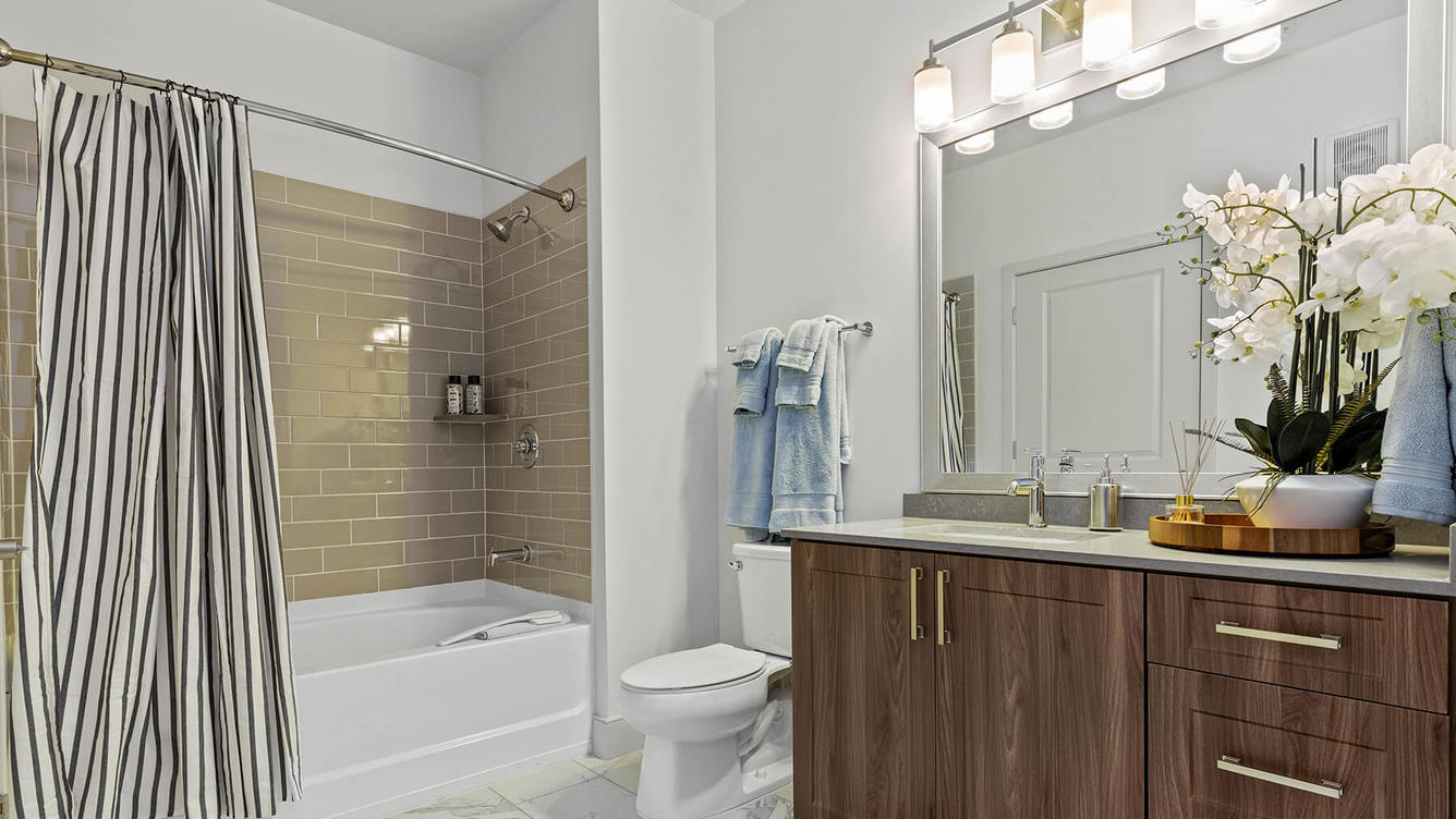 Photos of Our Franklin MA Apartments Gallery